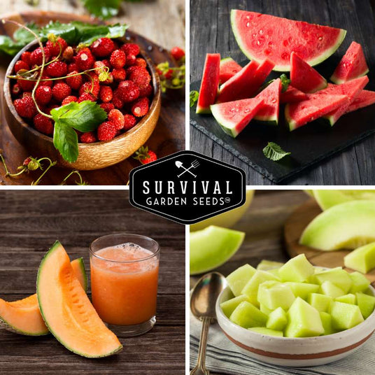 Wild strawberries, watermelon, cantaloupe and honey dew melons included in our Fruit Seed Collection