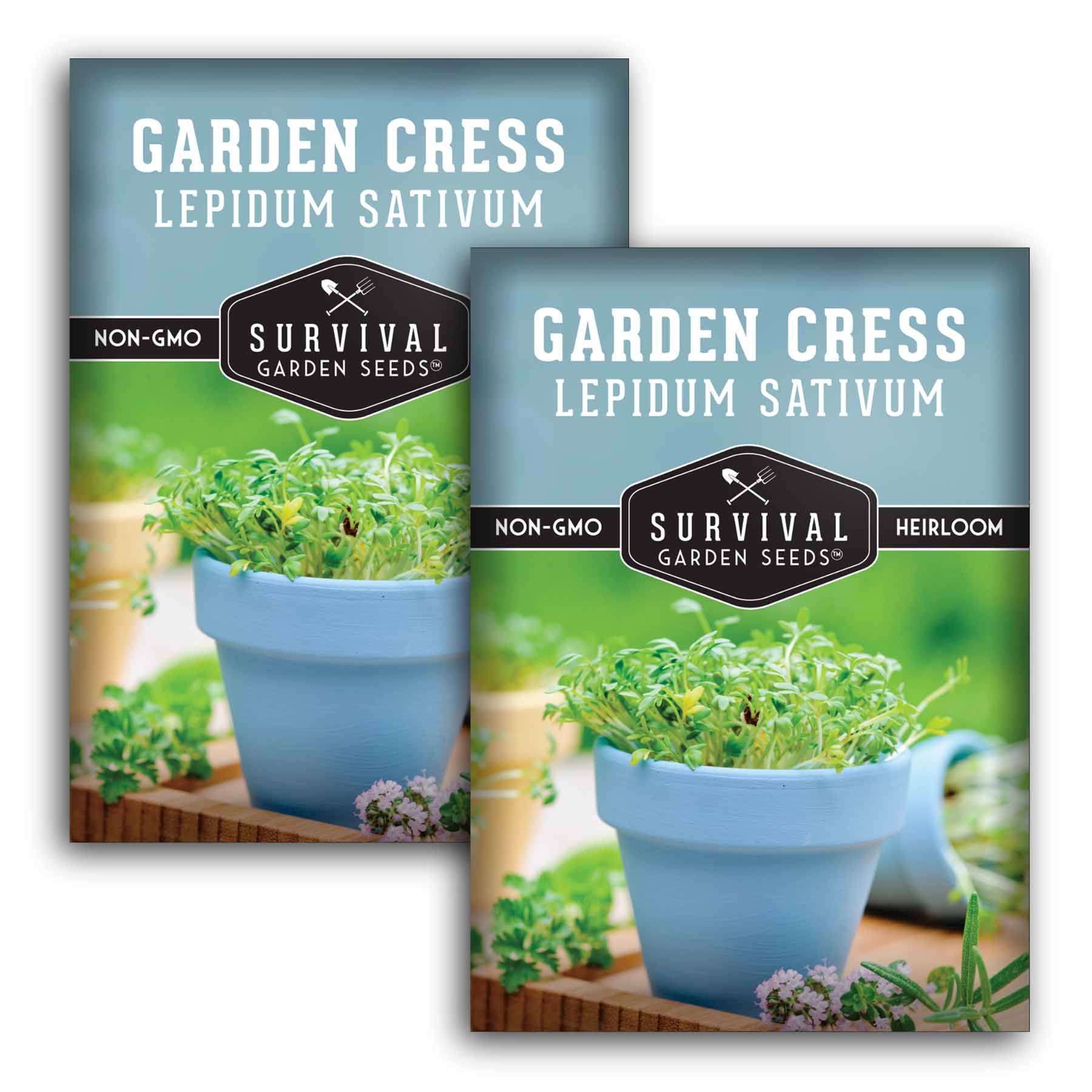 garden cress seeds benefits for height Garden Cress Seeds – Heirloom Non-GMO Sprouting & Microgreen Variety with Peppery Flavor for Indoors or Outdoor Growing