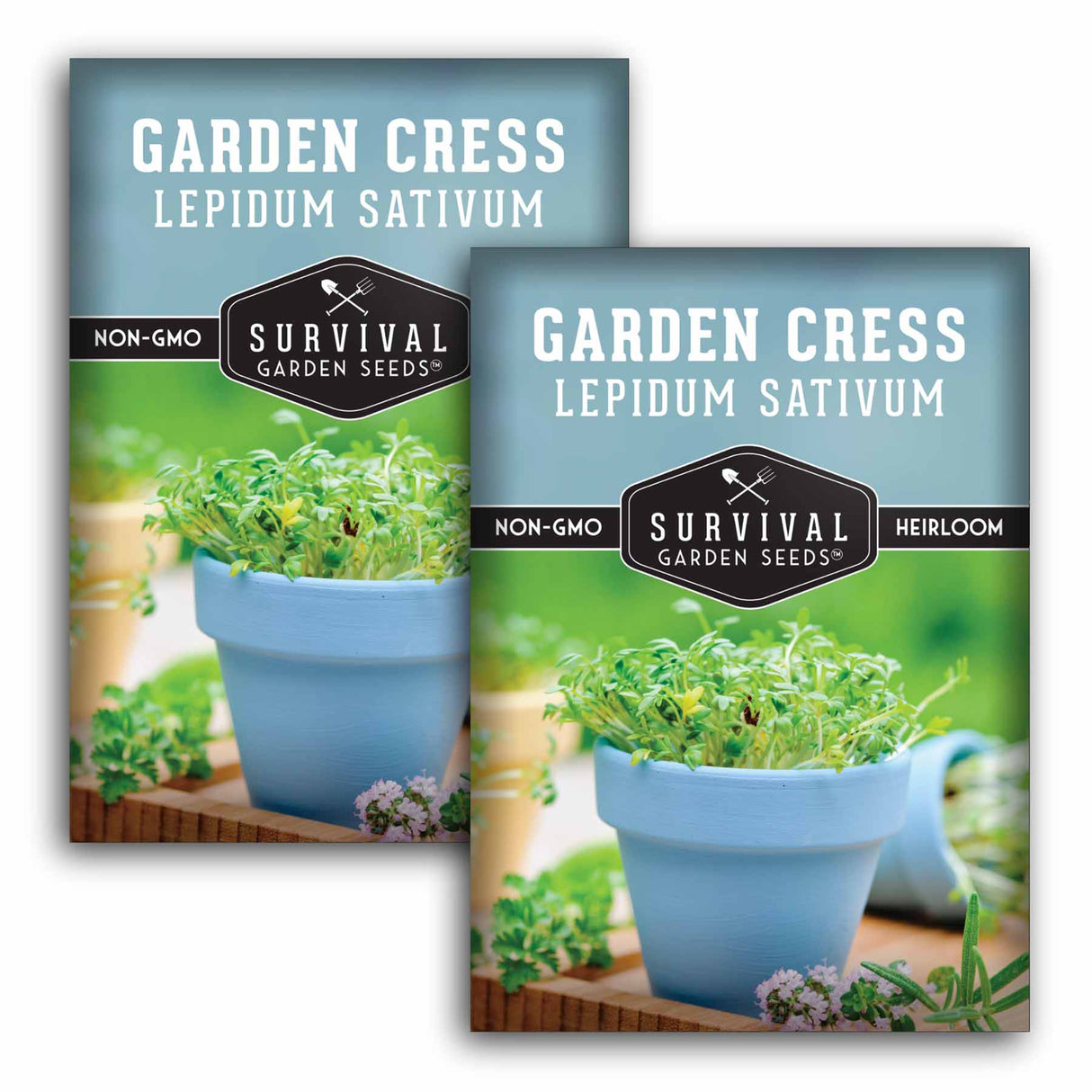 2 Packets of Garden Cress seeds