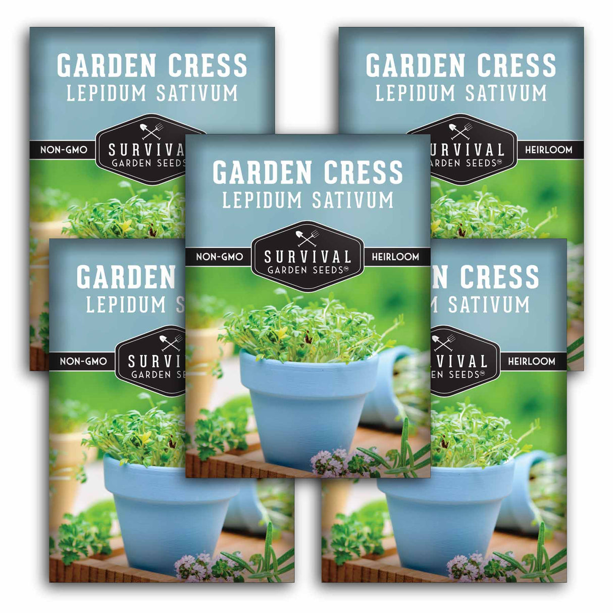 5 Packets of Garden Cress