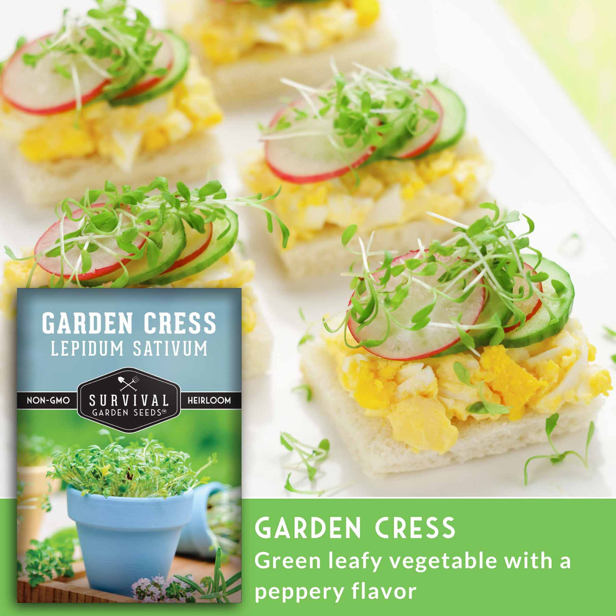 Garden Cress - Green leafy vegetable with a peppery flavor