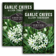 2 packets of Garlic Chives seeds