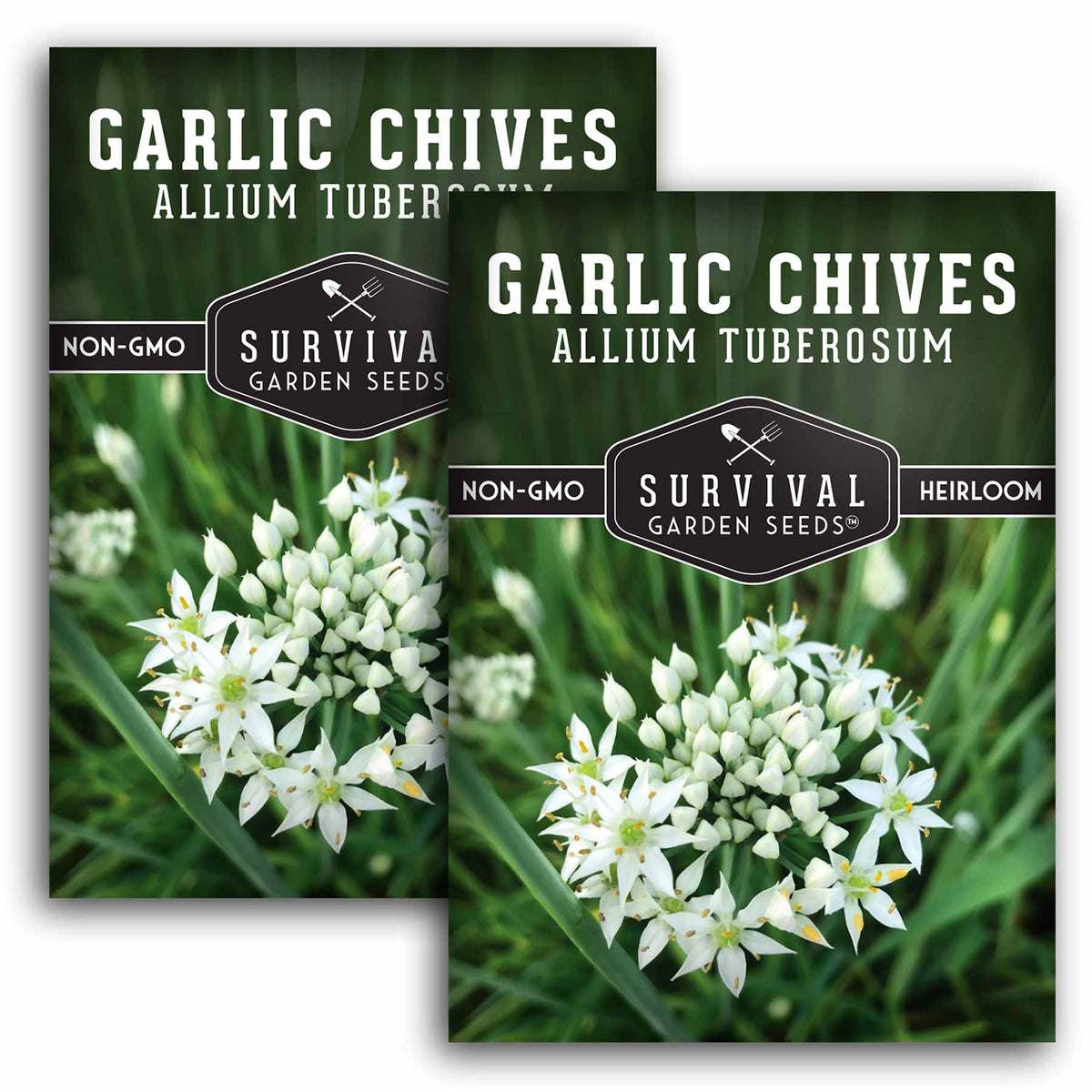 2 packets of Garlic Chives seeds