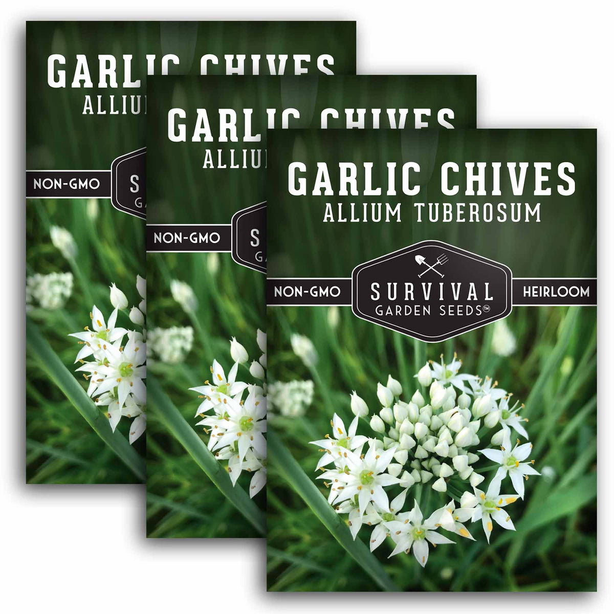 3 packets of Garlic Chives seeds