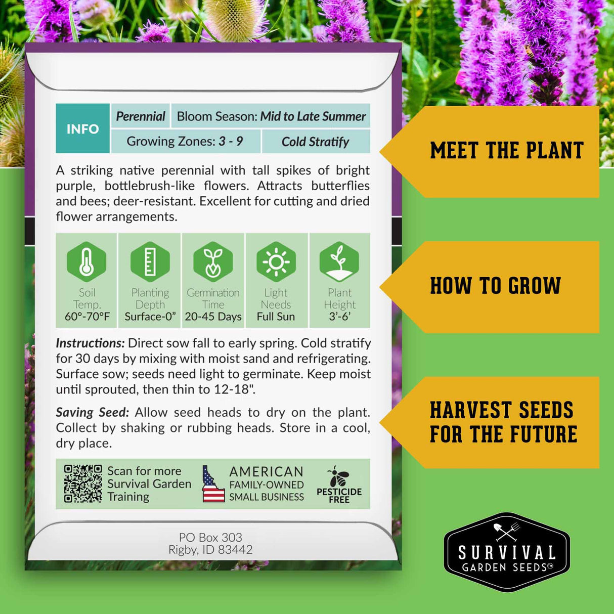 Gayfeather seed growing instructions