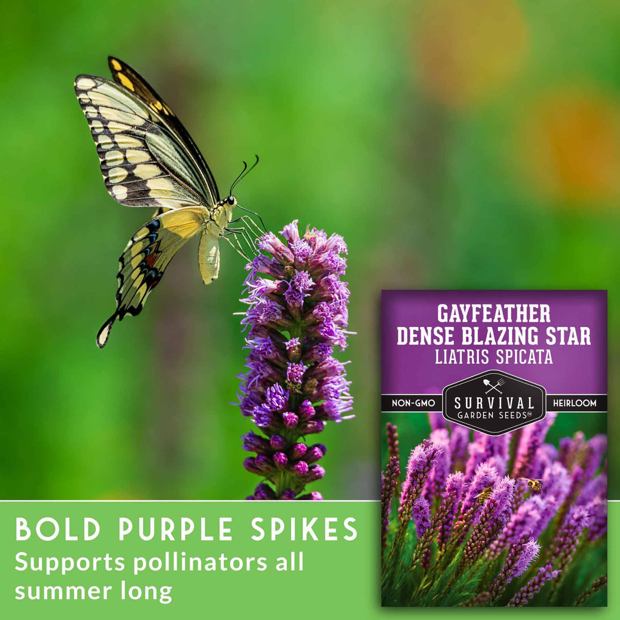 Bold Purple Spikes