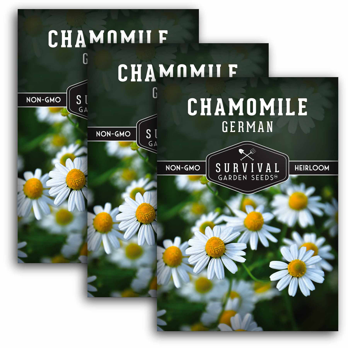 3 packets of German Chamomile seeds