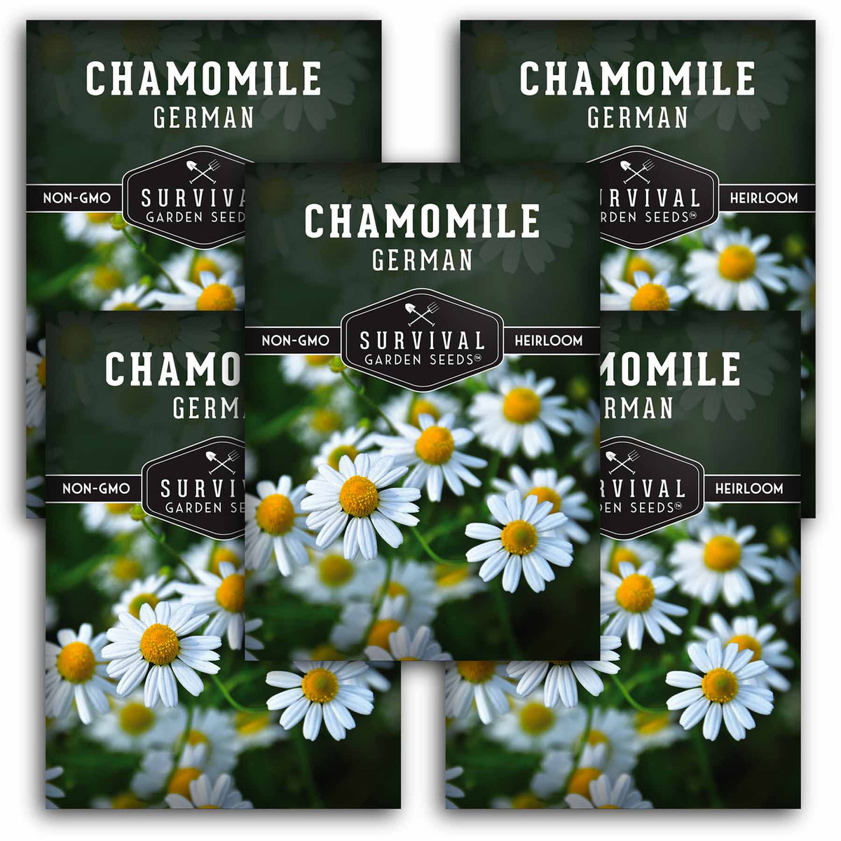5 packets of German Chamomile seeds