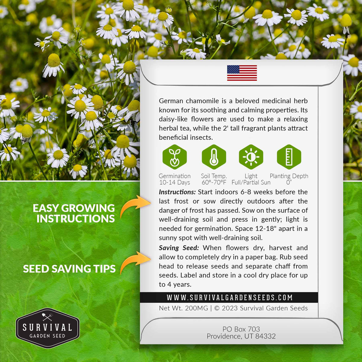 German Chamomile growing instructions