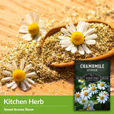 Kitchen herb - sweet licorice flavor