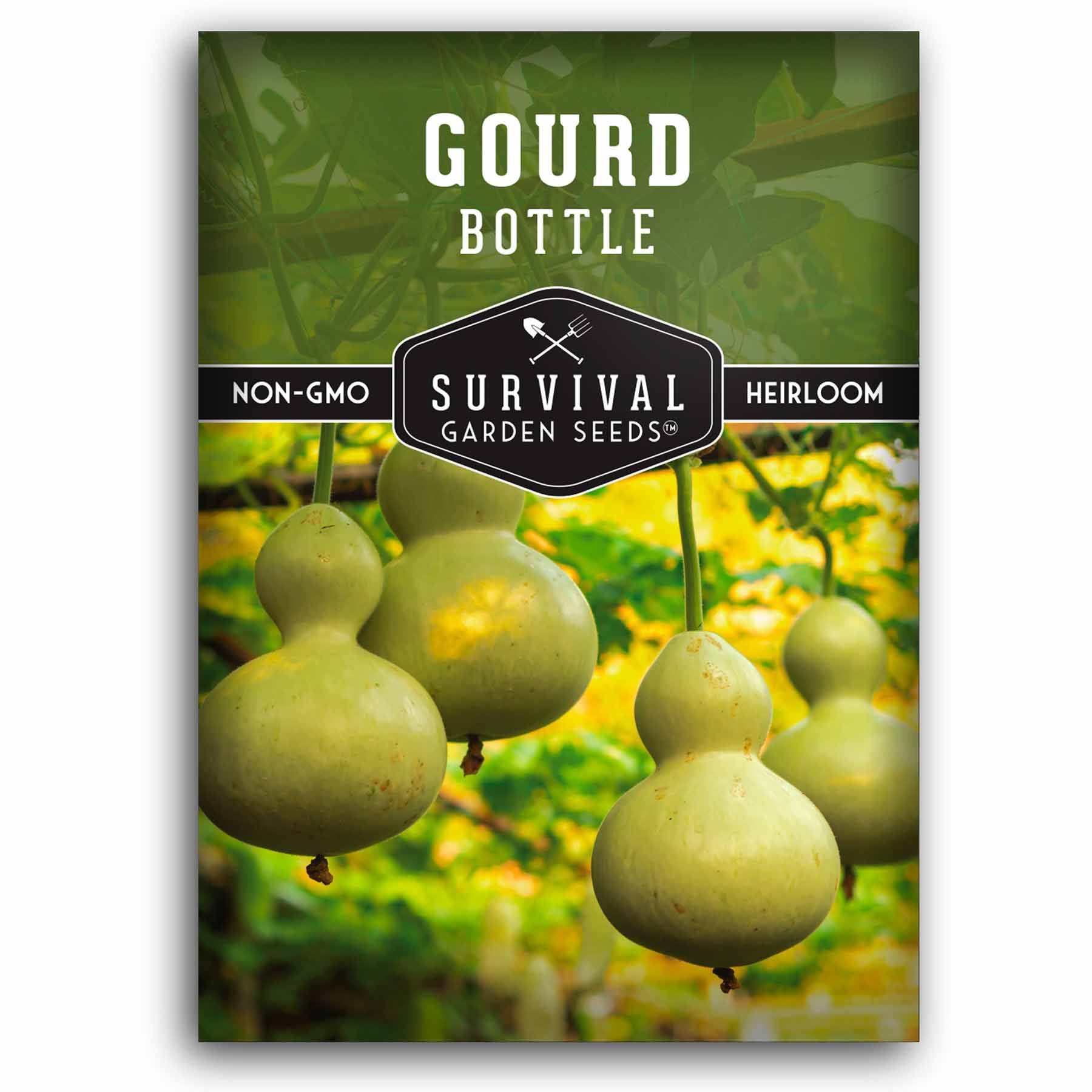 1 packet of Bottle Gourd seeds