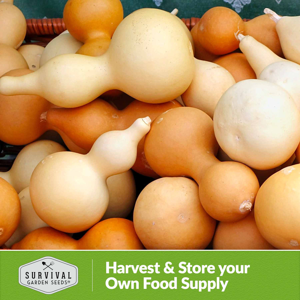 Harvest and store your own food supply