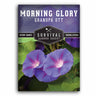 1 Packet of Grandpa Ott Morning Glory Seeds