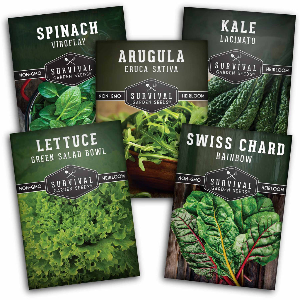 Greens Collection - Spinach, Arugula, Kale, Lettuce & Swiss Chard