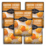 5 Packets of ground cherry seeds