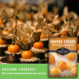 Ground cherries heirloom variety