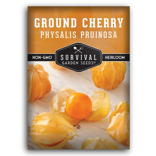 1 packet of Ground Cherry seed