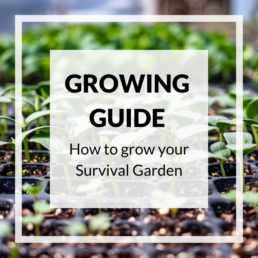 Get Our Free Growing Guide