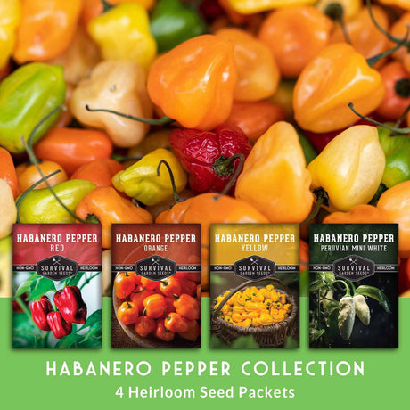 Habanero Pepper Collection - 4 Heirloom Seed Packets