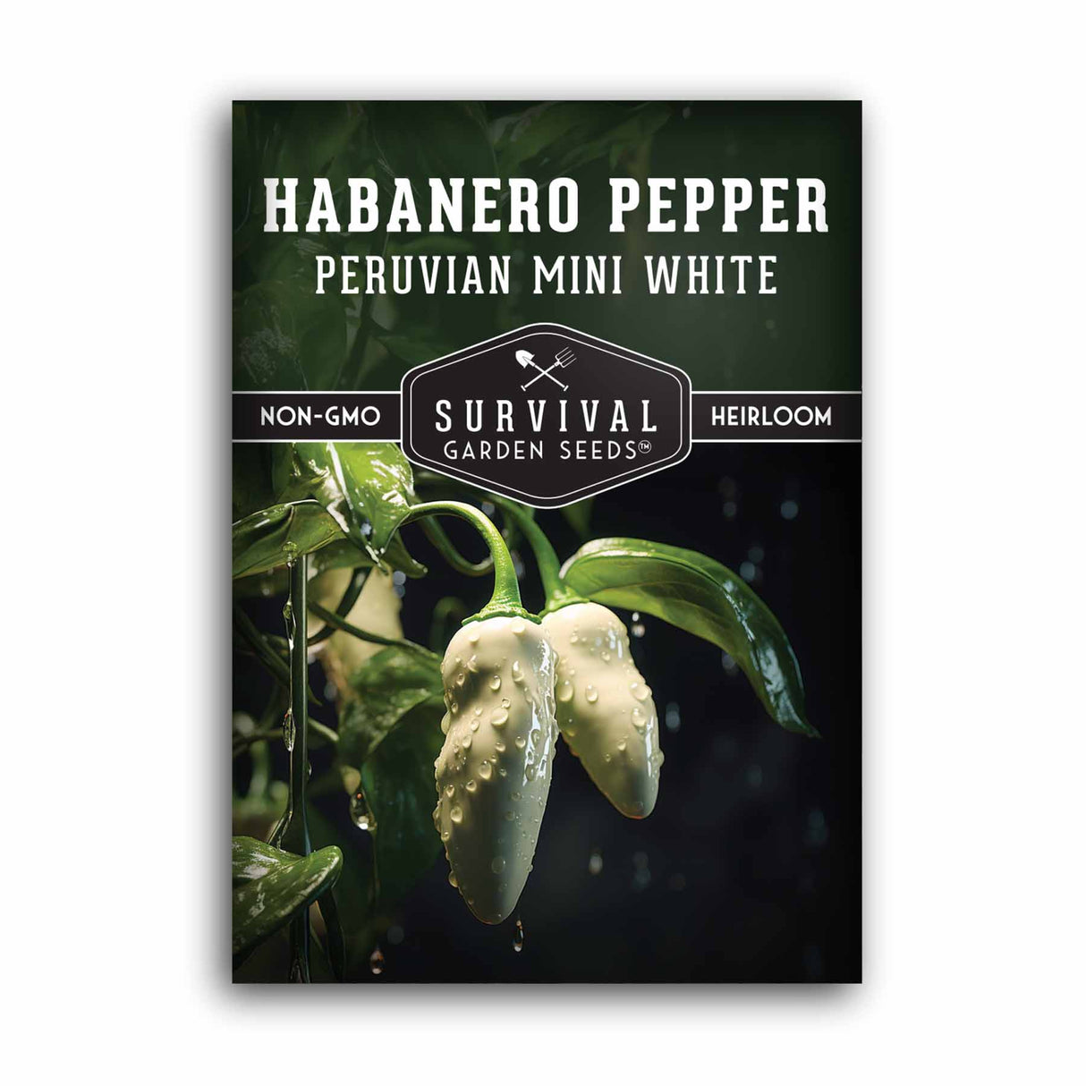 Mini White Habanero Seeds - Peruvian White Chile