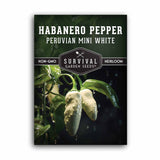 Mini White Habanero Seeds - Peruvian White Chile