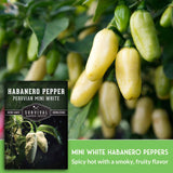 Mini White Habanero Seeds - Peruvian White Chile