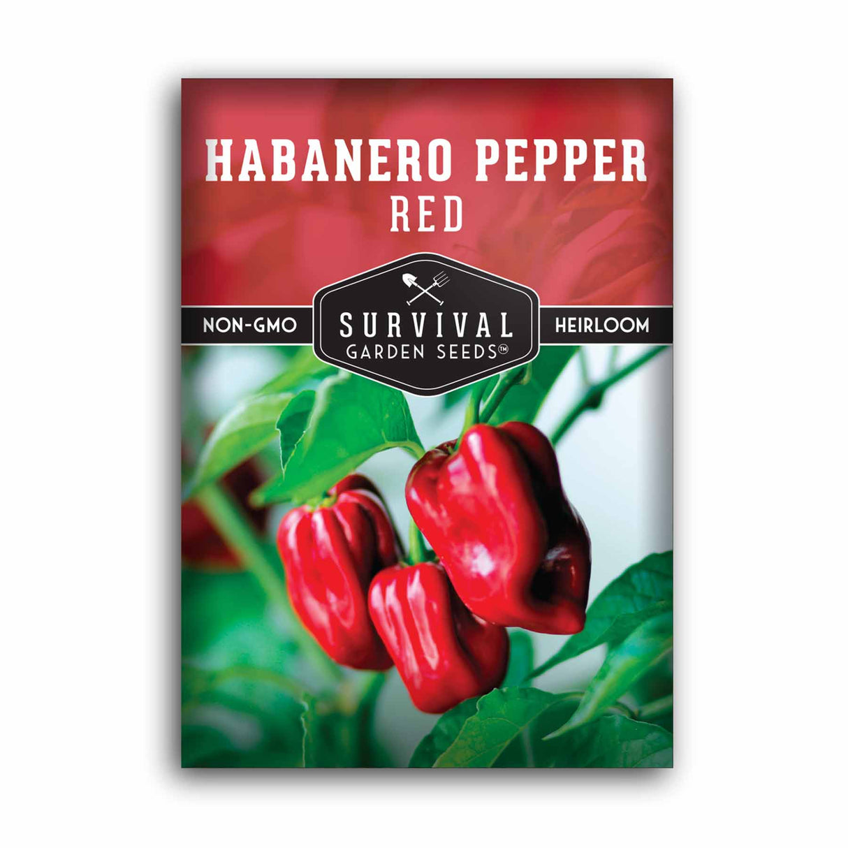 Red Habanero Pepper Seed - Fiery Red Pepper