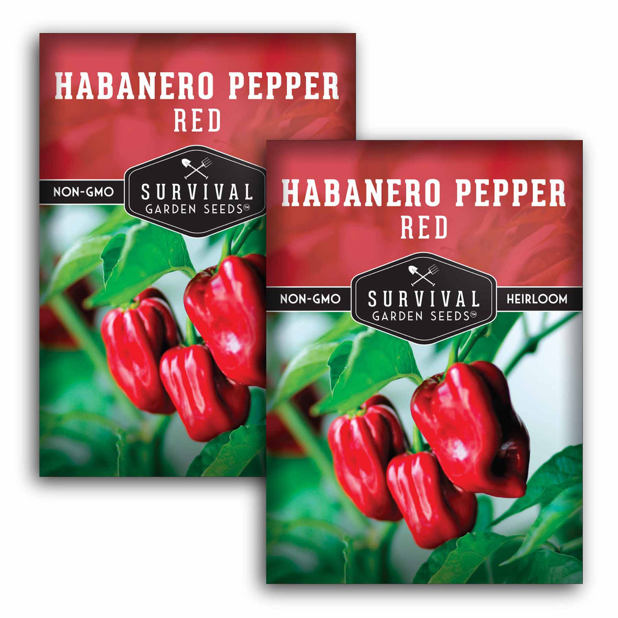 2 Packets of Red Habanero Pepper seeds