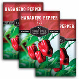 Red Habanero Pepper Seed - Fiery Red Pepper