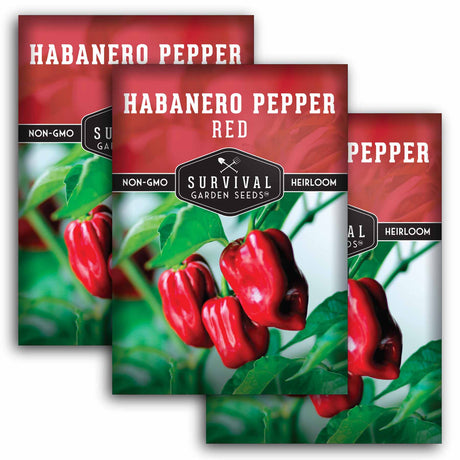 3 Packets of Red Habanero Pepper seeds