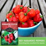 Red Habanero Pepper Seed - Fiery Red Pepper