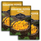 3 Packets of Yellow Habanero Pepper Seeds