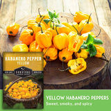 Yellow Habanero peppers