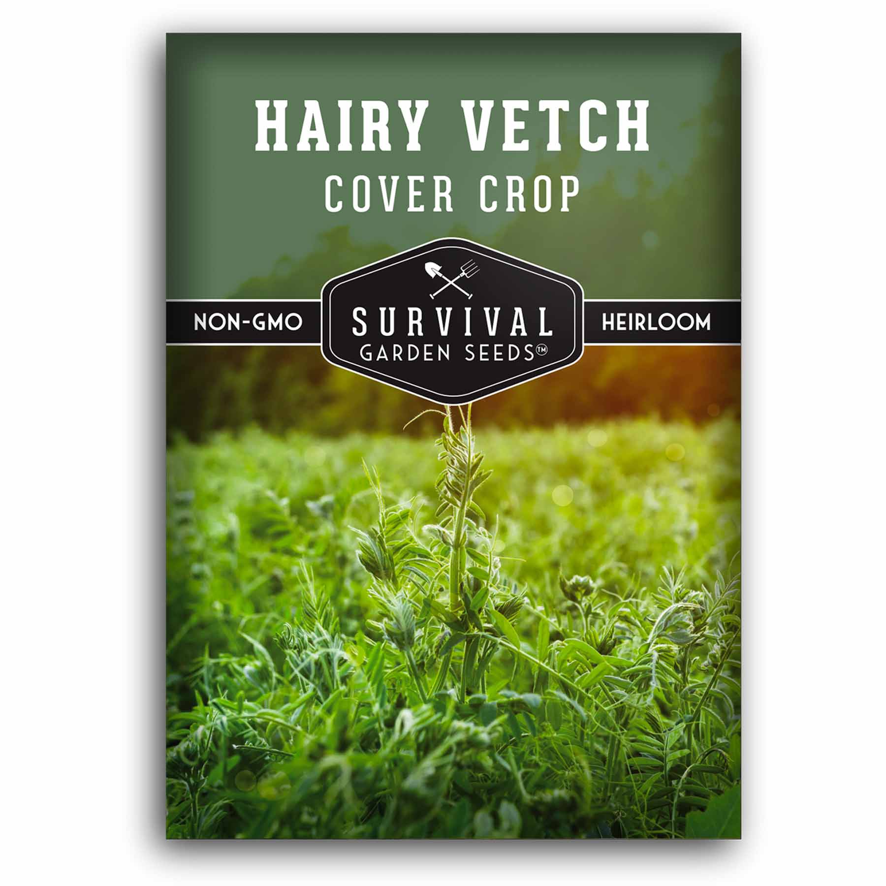 1 packet of Hairy Vetch seeds