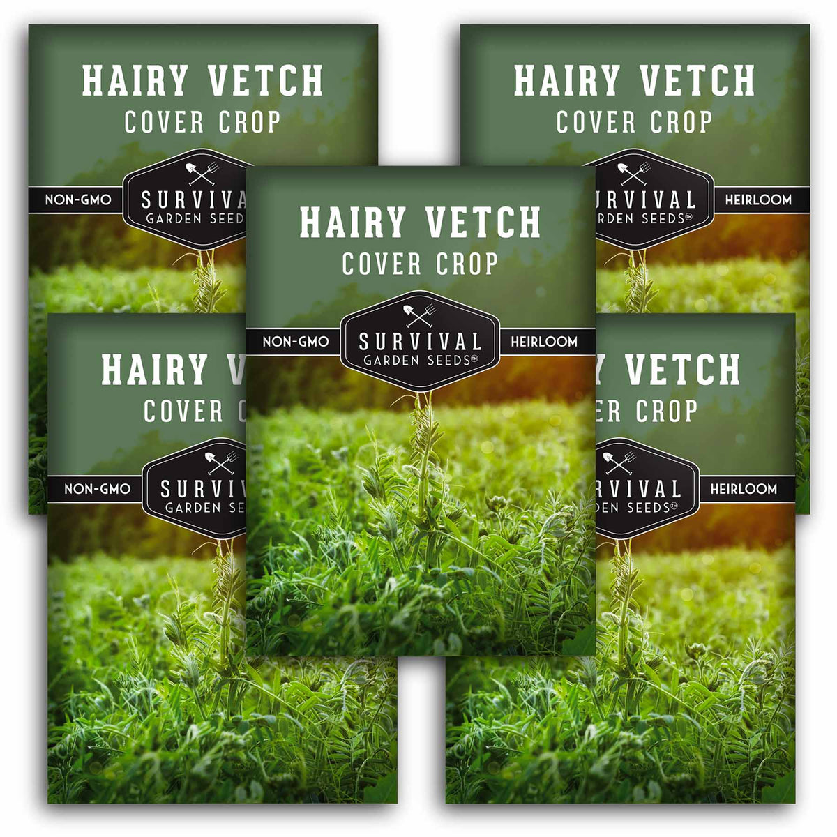 5 packet of Hairy Vetch seeds