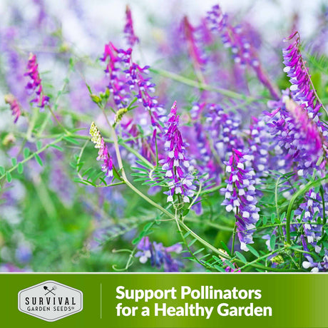 support pollinators for a healthy garden