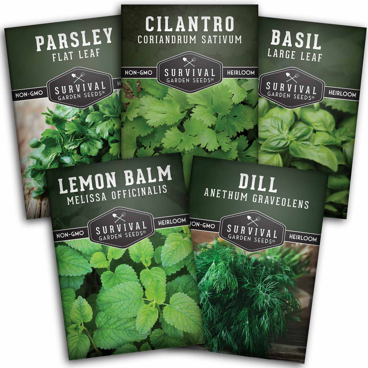 Herb Seed Collection - Basil, Cilantro, Parsley, Dill & Lemon Balm