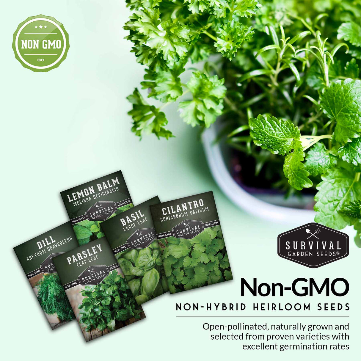 Non-GMO non-hybrid heirloom herb seeds