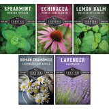 Herbal Tea Seed Collection