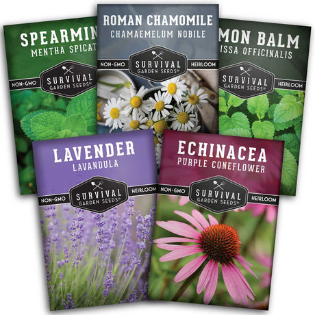 Herbal Tea Seed Collection - 5 packets of herbs for tea