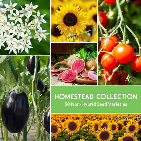 Homestead Seed Collection - 50 Non-Hybrid Varieties