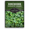 1 packet of Horehound seeds