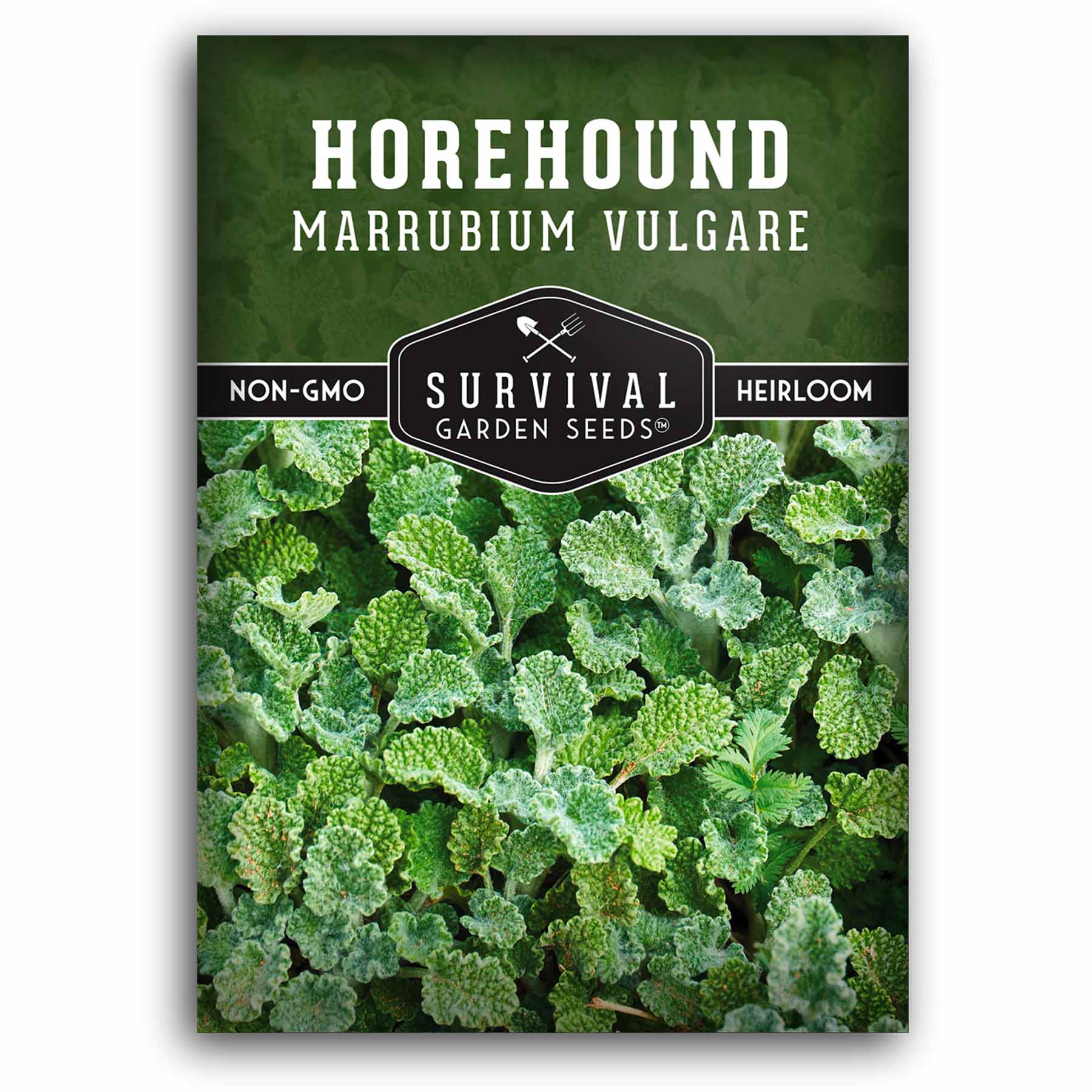 1 packet of Horehound seeds