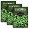 3 packet of Horehound seeds