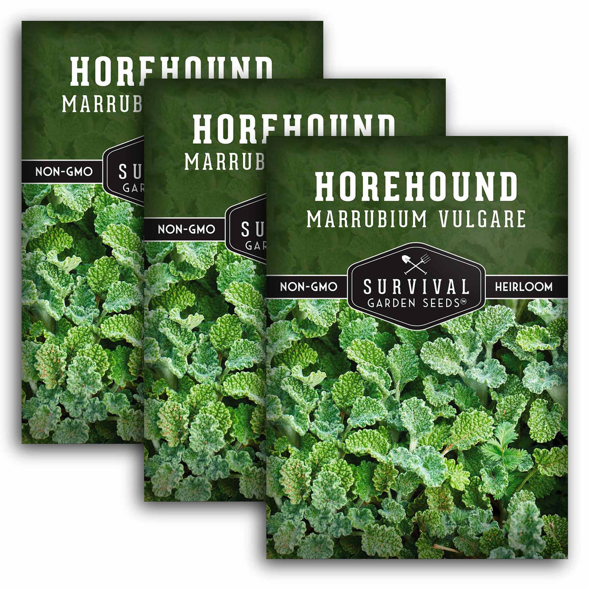 3 packet of Horehound seeds