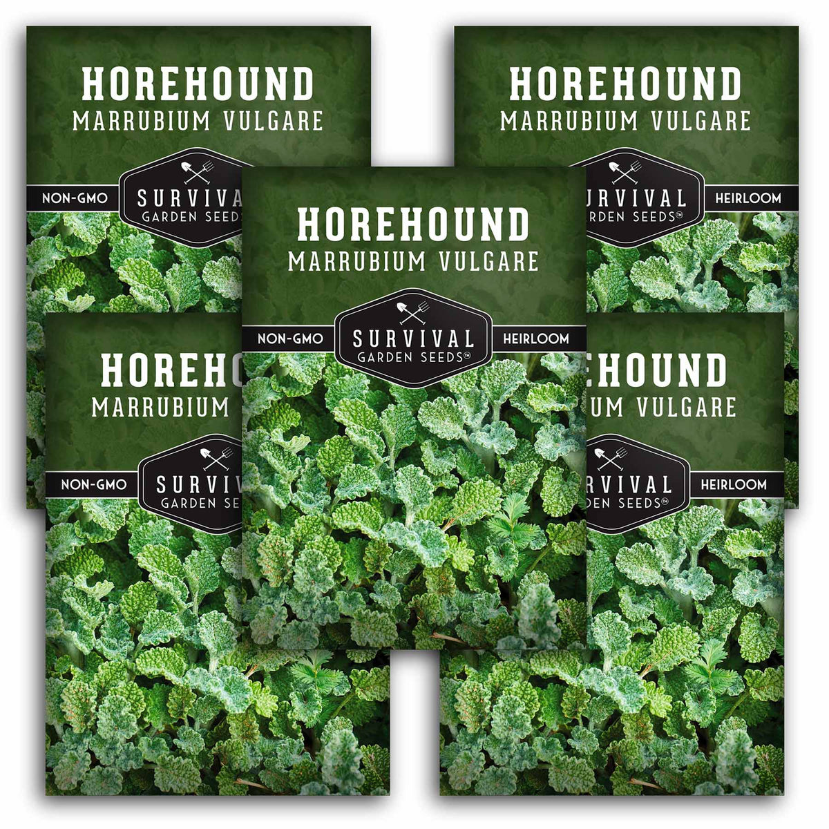 5 packet of Horehound seeds