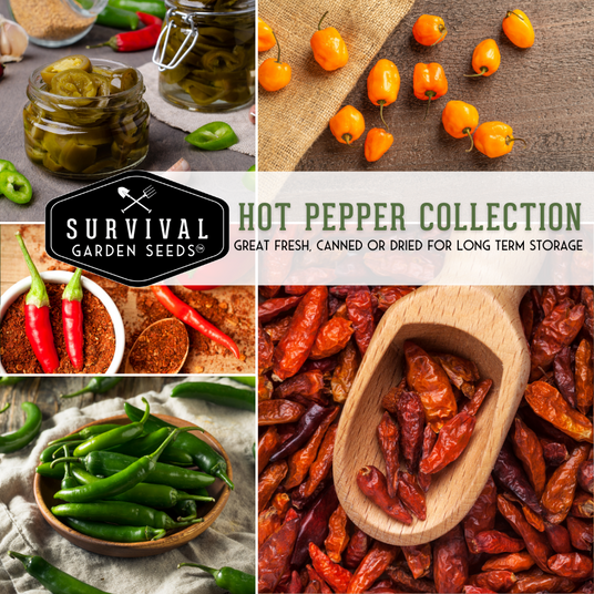 Hot Pepper seed collection