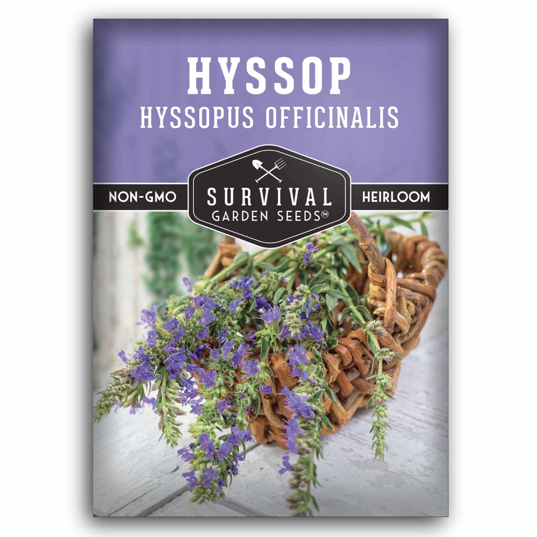 1 Packet of Hyssop Seeds