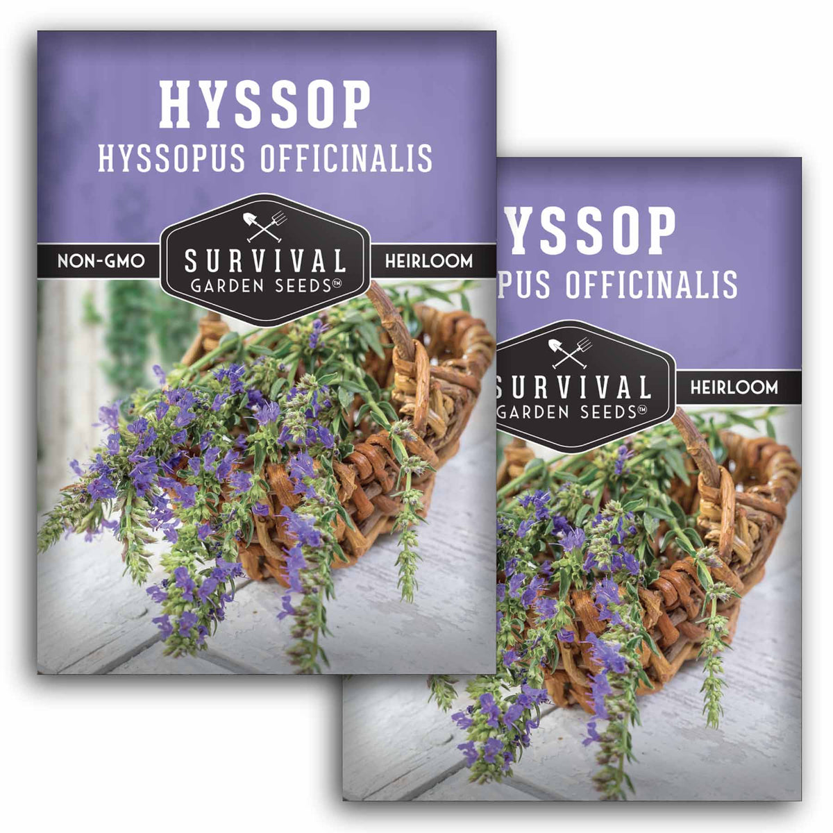 2 Packets of Hyssop Seeds