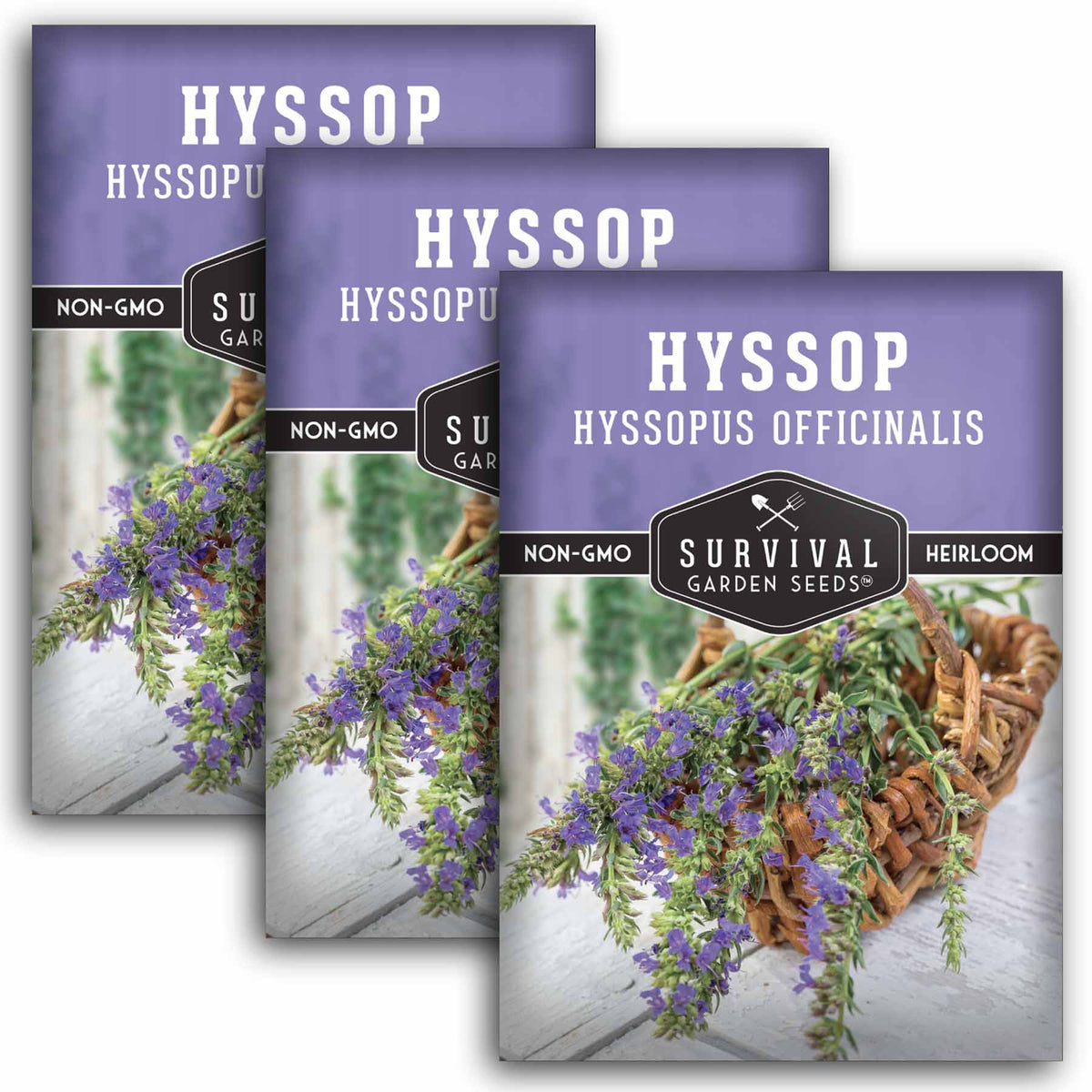 3 Packets of Hyssop Seeds